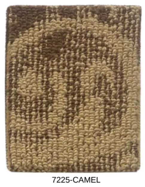 7225-CAMEL